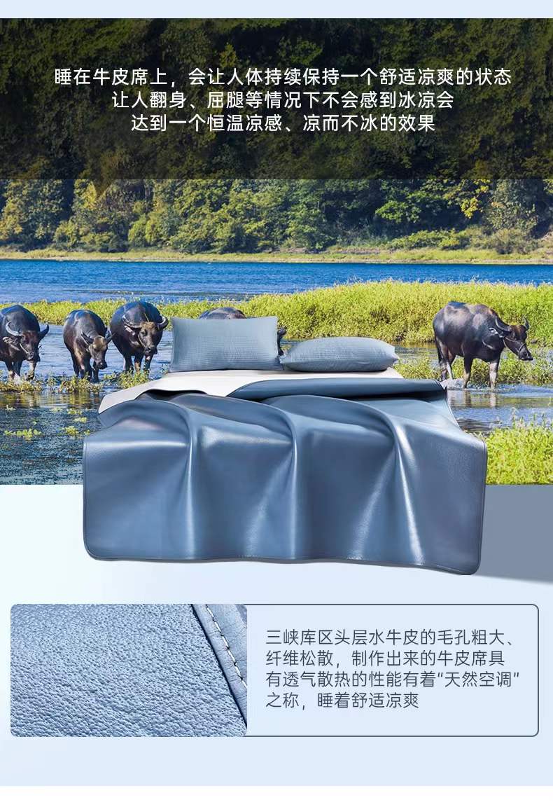 頭層水牛皮軟席輕奢系列(圖6)